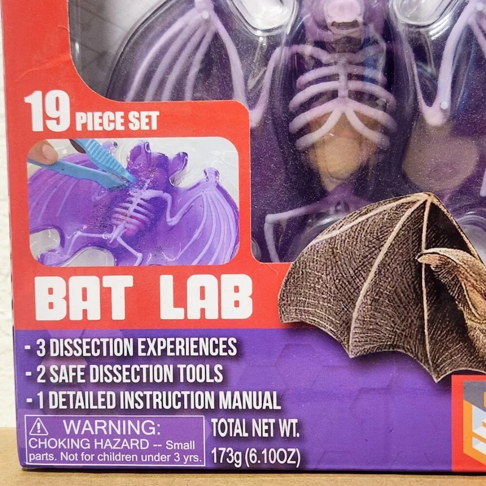 NEW Dissect-it Synthetic Lab Dissection Toy STEM KIT CRAFT Project Bat Biology A